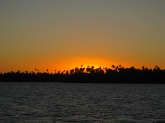 Enlarge photo 43