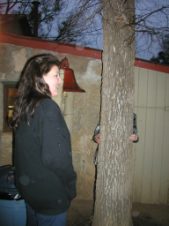 Enlarge photo 8