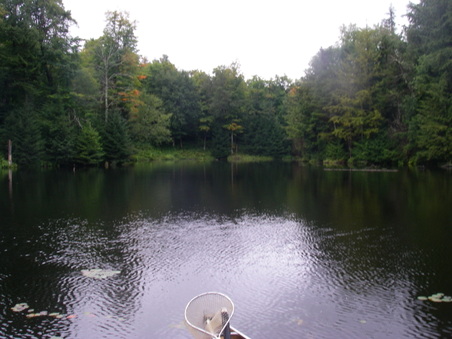 Enlarge photo 15