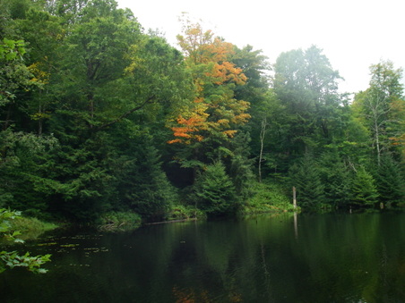 Enlarge photo 20