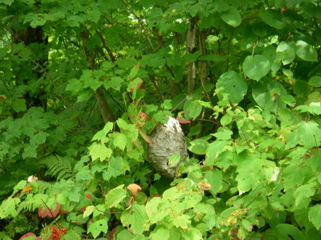 Enlarge photo 27