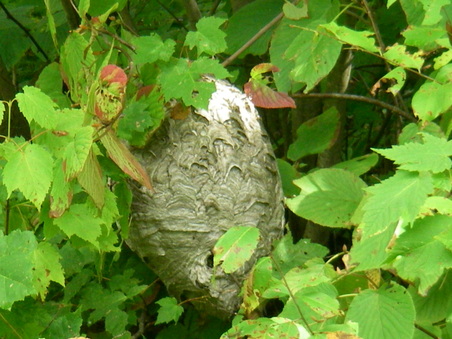 Enlarge photo 28