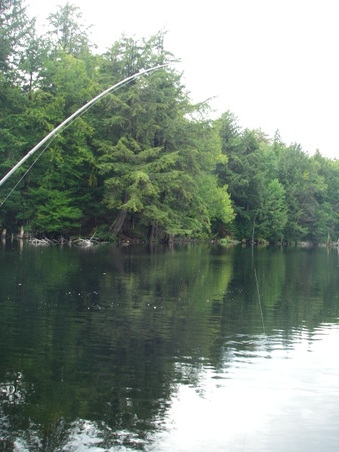 Enlarge photo 32