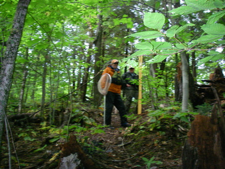 Enlarge photo 36