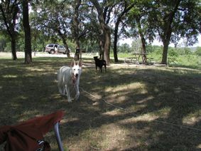 Enlarge photo 3