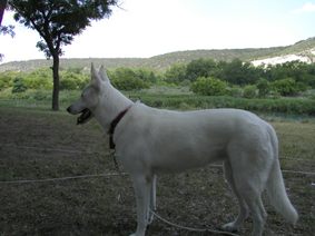 Enlarge photo 4