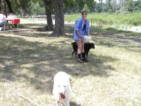 Enlarge photo 8