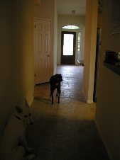 Enlarge photo 17