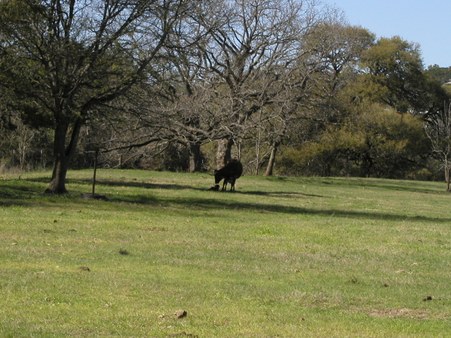 Enlarge photo 2