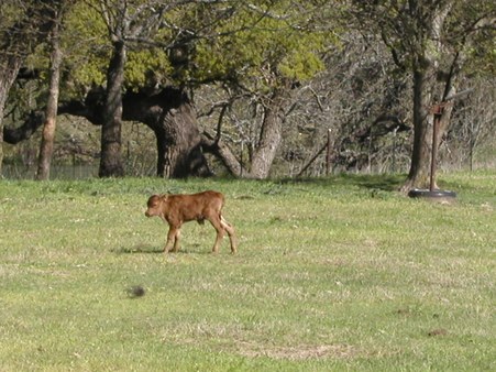 Enlarge photo 5