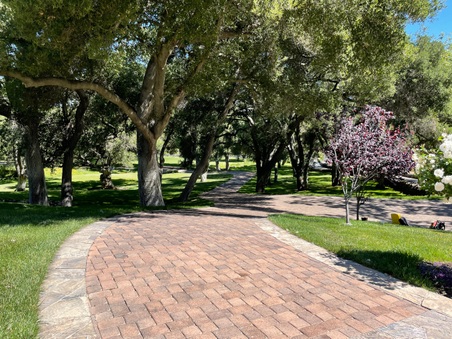 Enlarge photo 39