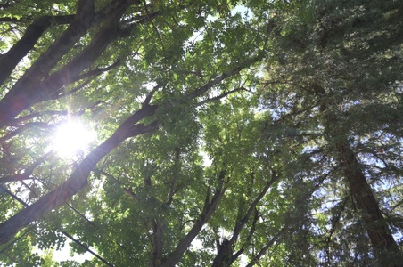 Enlarge photo 12