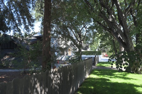 Enlarge photo 14