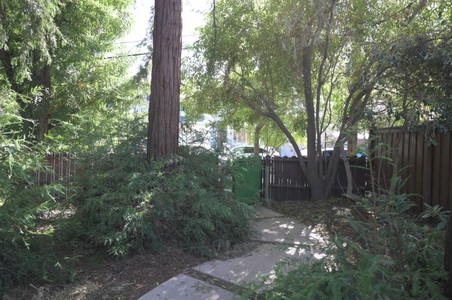 Enlarge photo 30
