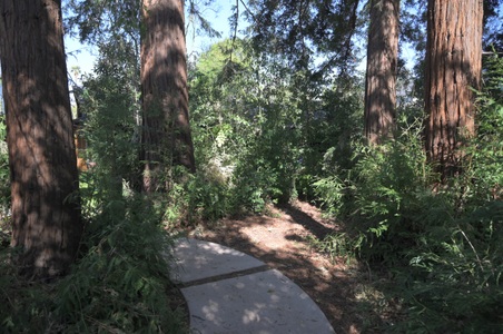Enlarge photo 31