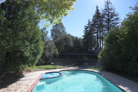 Enlarge photo 46