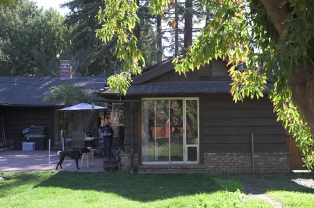 Enlarge photo 63