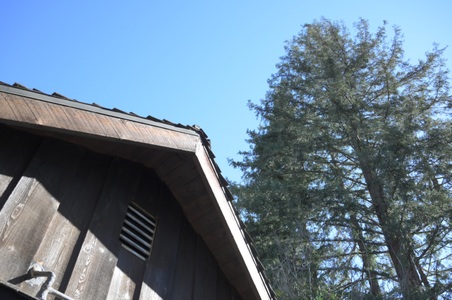Enlarge photo 42