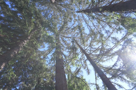 Enlarge photo 34
