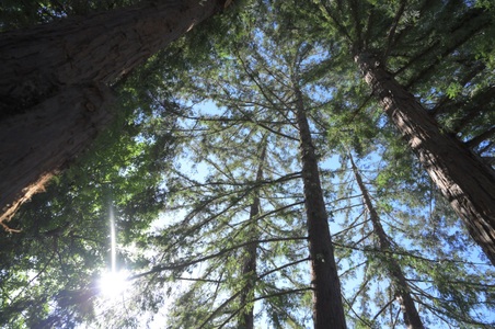 Enlarge photo 32