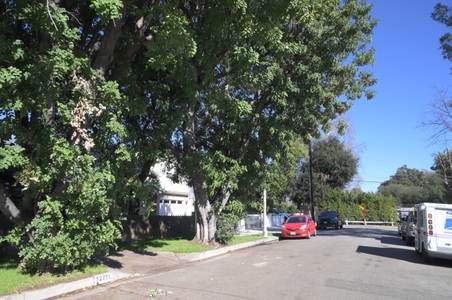 Enlarge photo 184