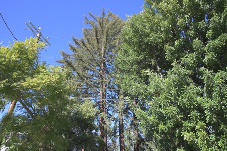 Enlarge photo 189