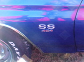 Enlarge photo 66