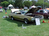 Enlarge photo 37