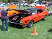Enlarge photo 40