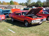 Enlarge photo 75