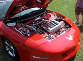 Enlarge photo 24