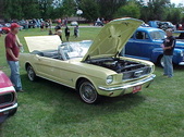Enlarge photo 47