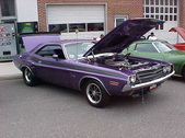 Enlarge photo 56