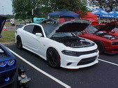 Enlarge photo 1007