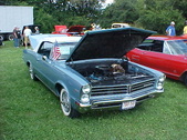 Enlarge photo 1585