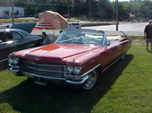 Enlarge photo 486