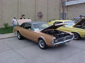 Enlarge photo 82