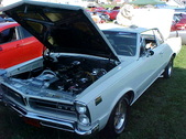 Enlarge photo 2485