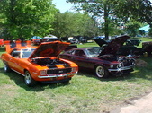 Enlarge photo 250