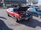 Enlarge photo 2761