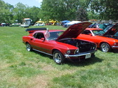 Enlarge photo 251