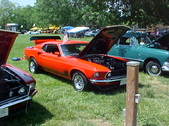 Enlarge photo 252