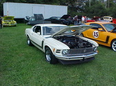 Enlarge photo 1599