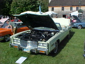 Enlarge photo 2124