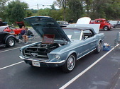 Enlarge photo 2195