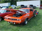 Enlarge photo 1611