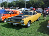 Enlarge photo 1554