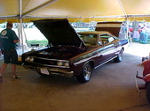 Enlarge photo 205
