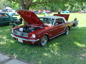 Enlarge photo 254