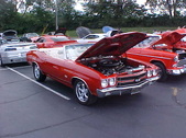 Enlarge photo 1157
